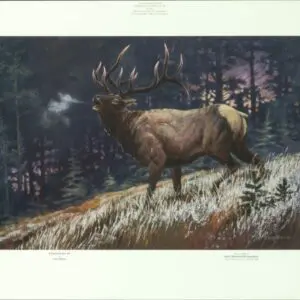 A majestic elk stands on a forested slope at dusk.
