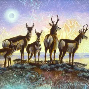 A herd of antelope standing on a rocky outcrop under a glowing sky.