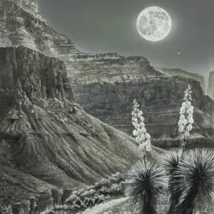 Moonlit desert landscape with rocky cliffs and spiky plants.