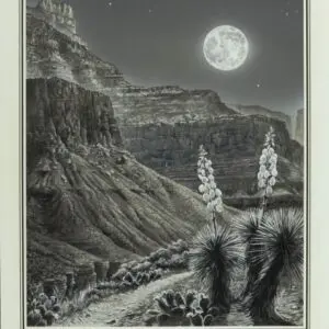 Black-and-white photo of a moonlit canyon landscape with cactus in foreground.