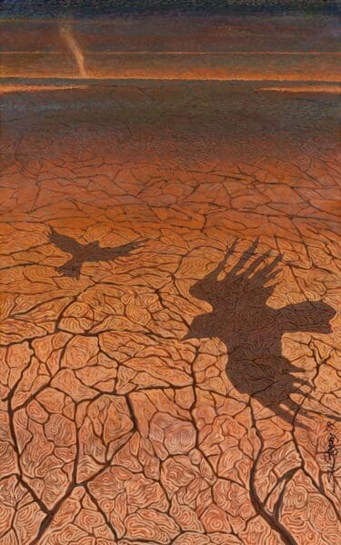 Stressed Ground - Tom Alexander Photography